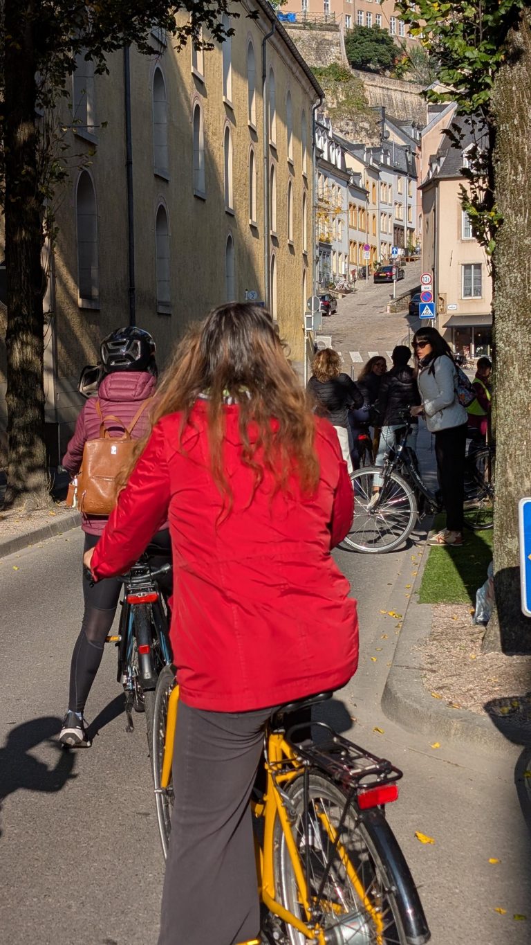 PXL_20251011_084101230 (1)